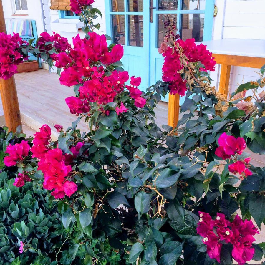 לאס גלטאס Beautiful Vintage Bungalow Wifi Parking. מראה חיצוני תמונה
