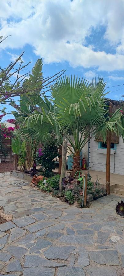 לאס גלטאס Beautiful Vintage Bungalow Wifi Parking. מראה חיצוני תמונה